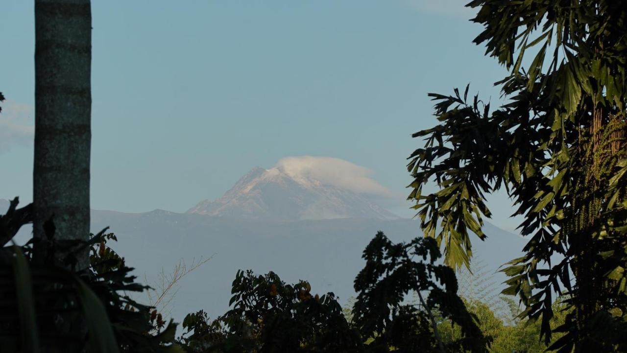 Finca La Argelia Quimbaya Exterior foto